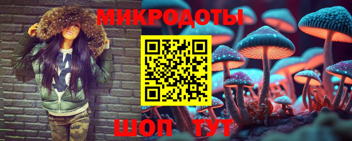 Псилоцибиновые грибы Psilocybe Кузнецк