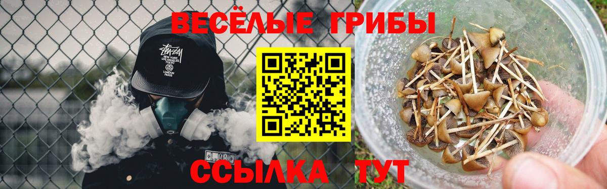 Псилоцибиновые грибы мухоморы  Вход с VPN  Галлюциногенные грибы MAGIC MUSHROOMS  Кузнецк 